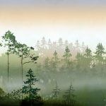Scandinavian Forest_AH002_PH_02_Dawn-Pine