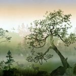 Scandinavian Forest_AH002_PH_05_Dawn--Wildelife