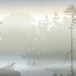 Scandinavian Forest_Anna_Handell_AH003_PH_01_Mist-Lake