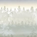 Carta_da_parati_Scandinavian Forest_Anna_Handell_AH003_PH_03_Mist-Woodland