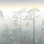 Carta_da_parati_Scandinavian Forest_Anna_Handell_AH003_PH_04_Mist-Path