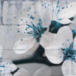Panel Linea Light Cherry Blue - Fiori di Ciliegio Blu Retroilluminati