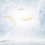 Panel Feathers MB258PH – Design Etereo con Piume e Uccelli