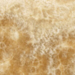 Panel Linea Light Marmo Onice Miele - Retroilluminazione Elegante per Cucine