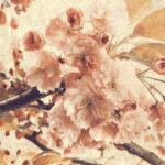 Panel Linea Light Sweet Cherry - Eleganza Floreale Retroilluminata